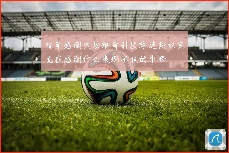 绿军感谢武切维奇引发球迷热议究竟在感谢什么表现不佳的中锋