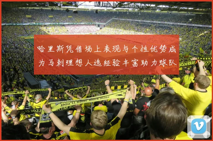 哈里斯凭借场上表现与个性优势成为马刺理想人选经验丰富助力球队发展